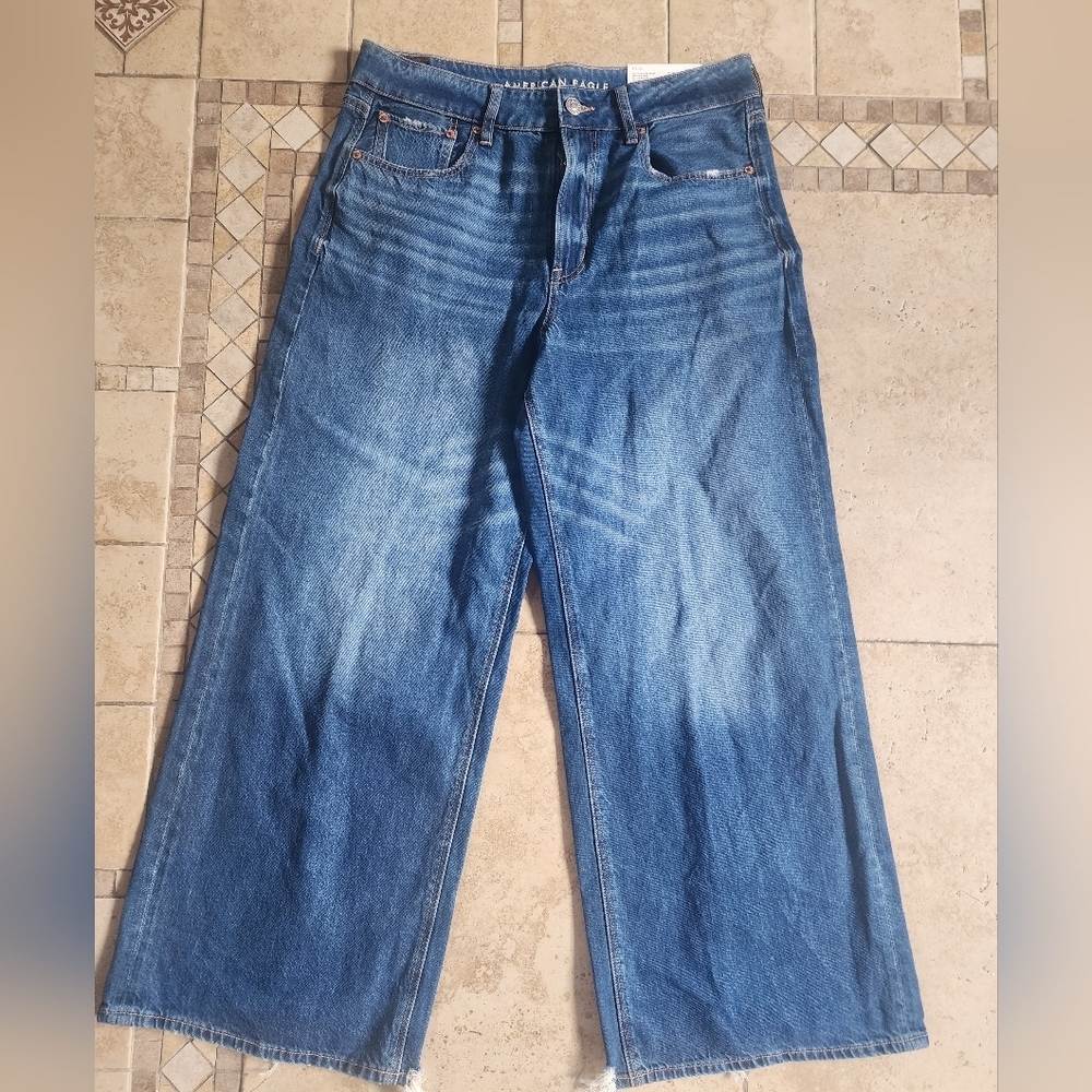 American Eagle Outfitters Baggy Wide Leg Ankle Jeans